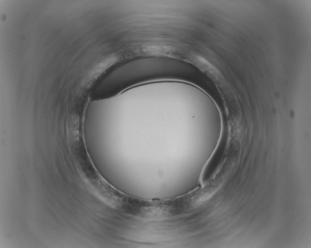 X0000062910356200602101837