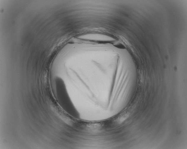 X0000062910357200602101838