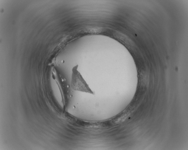 X0000062910358200602101838