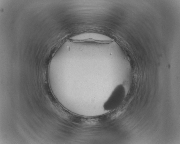 X0000062910359200602101838