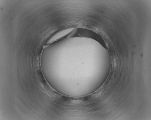 X0000062910360200602101838