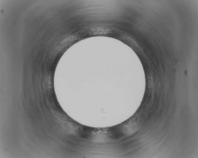 X0000062910362200602101838