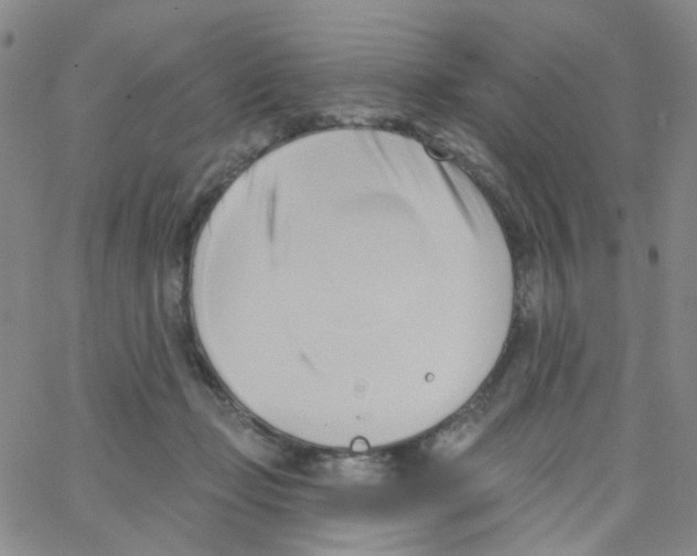 X0000062910365200602101838