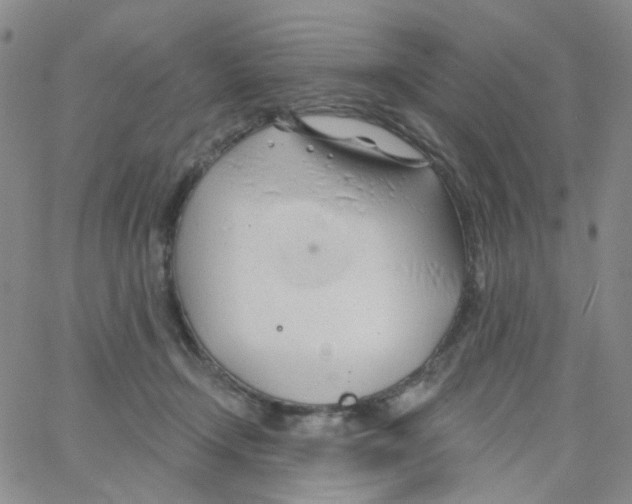 X0000062910366200602101838