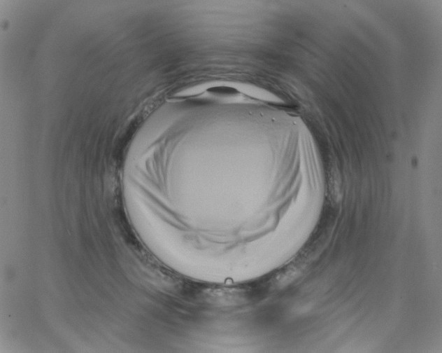 X0000062910367200602101838