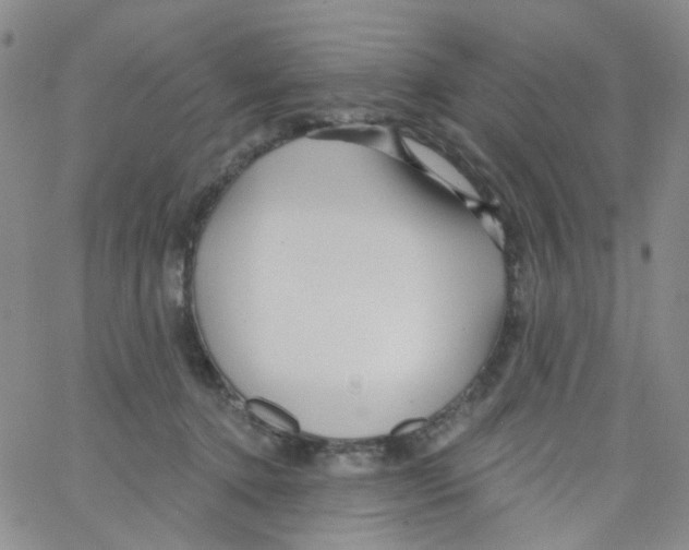 X0000062910368200602101838