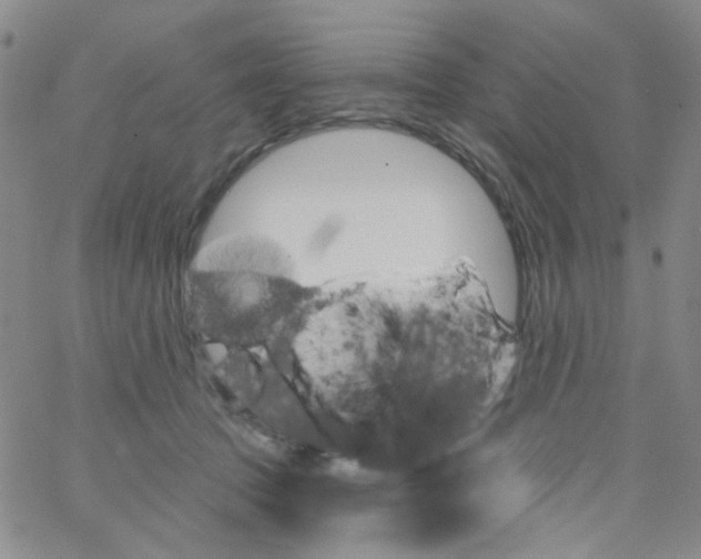 X0000062910369200602101838