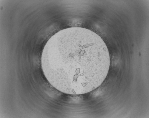 X0000062910370200602101838