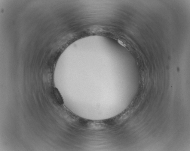 X0000062910372200602101838