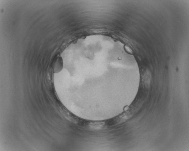 X0000062910373200602101838