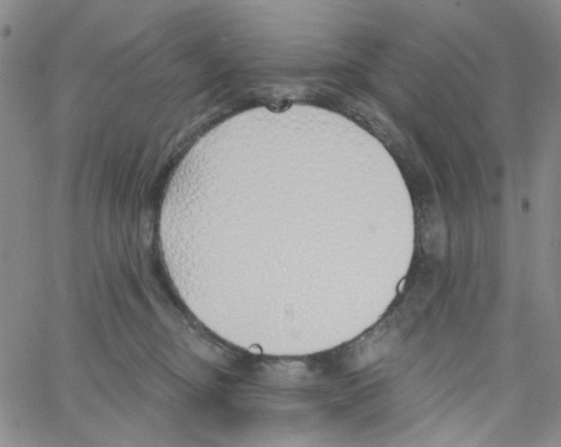 X0000062910374200602101838