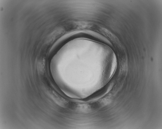 X0000062910376200602101838