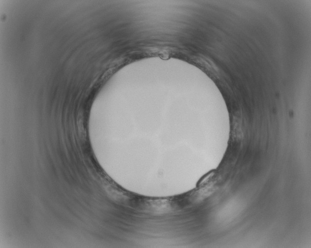 X0000062910377200602101838