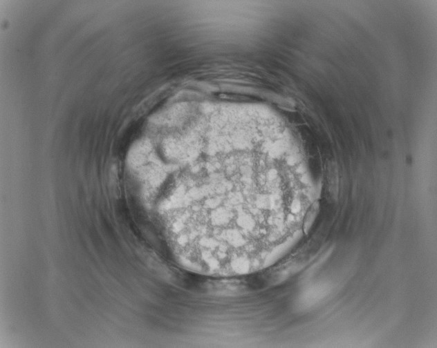 X0000062910378200602101838