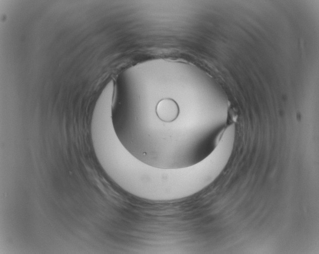 X0000062910380200602101838