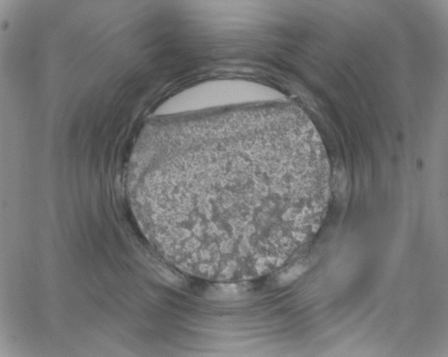 X0000062910381200602101838