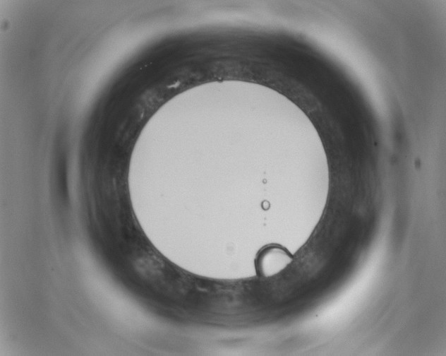 X0000062910382200602101838