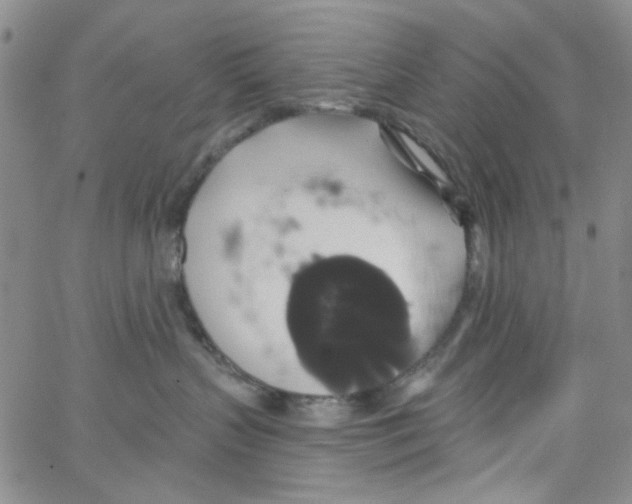 X0000062910383200602101838