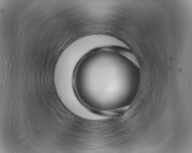 X0000062910384200602101838