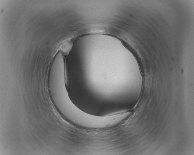 X0000062910385200602101837