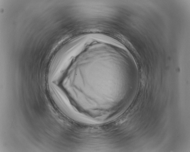 X0000062910386200602101837