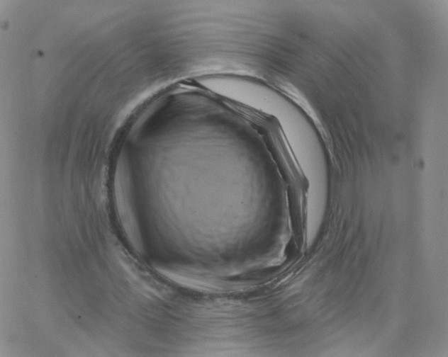 X0000062910387200602101837