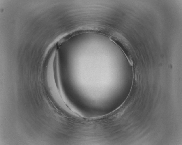 X0000062910388200602101837