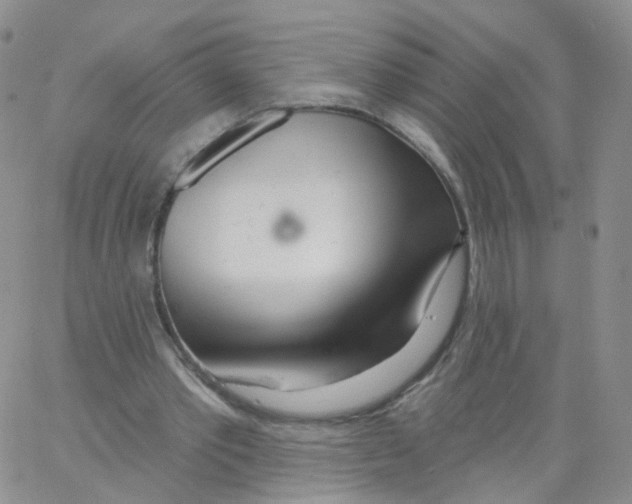 X0000062910389200602101837