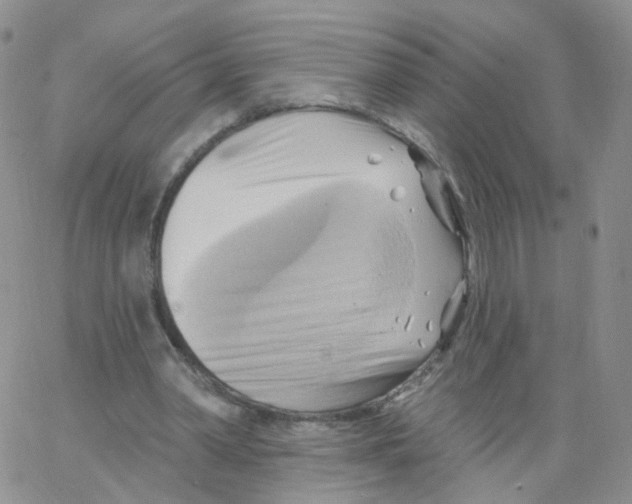 X0000062910390200602101837