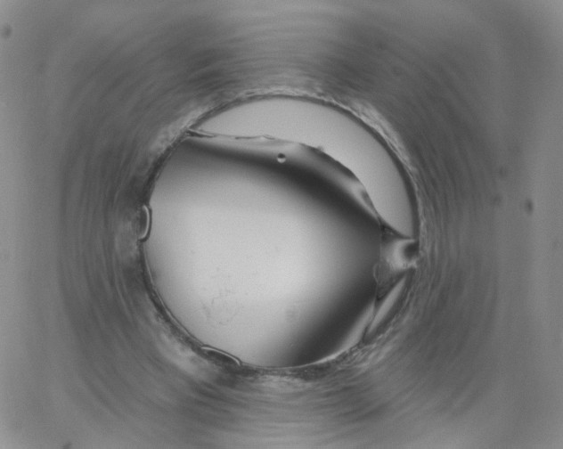 X0000062910393200602101837