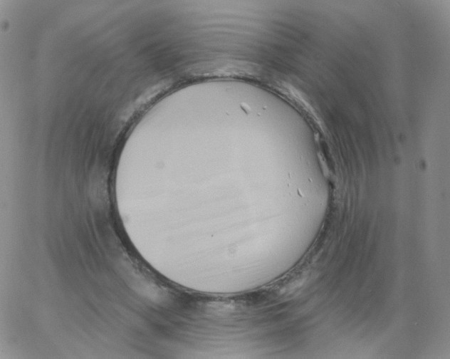 X0000062910394200602101837