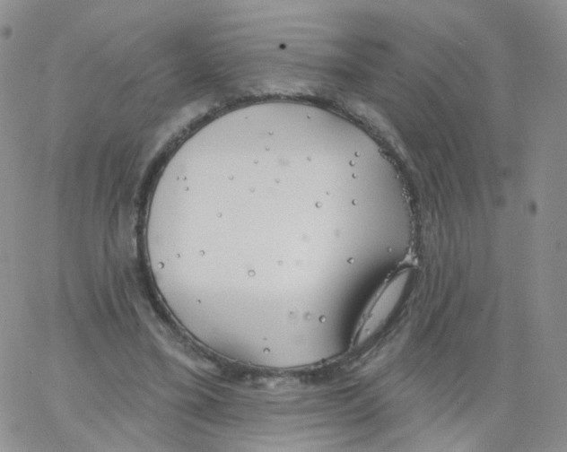 X0000062910395200602101837