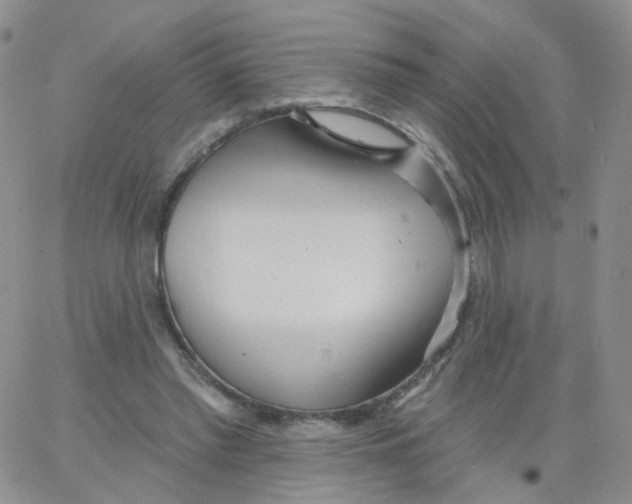 X0000062910397200602101837