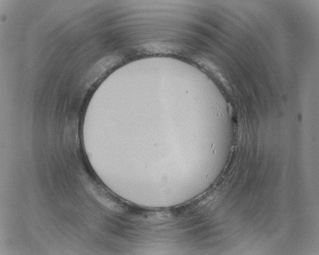 X0000062910398200602101837