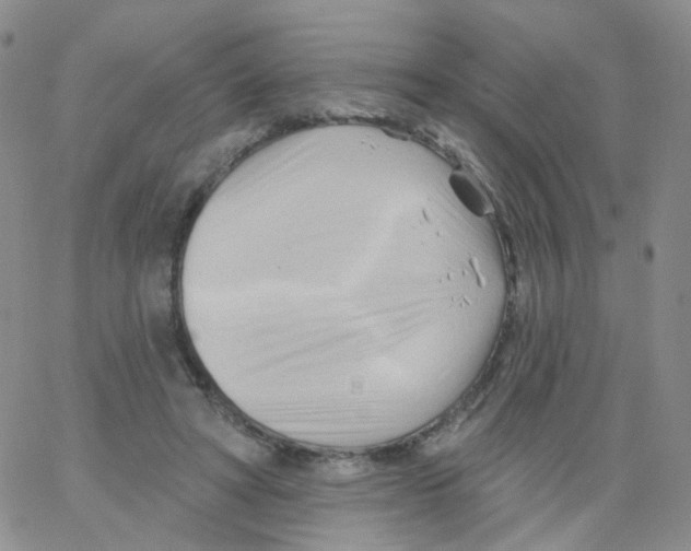 X0000062910402200602101837