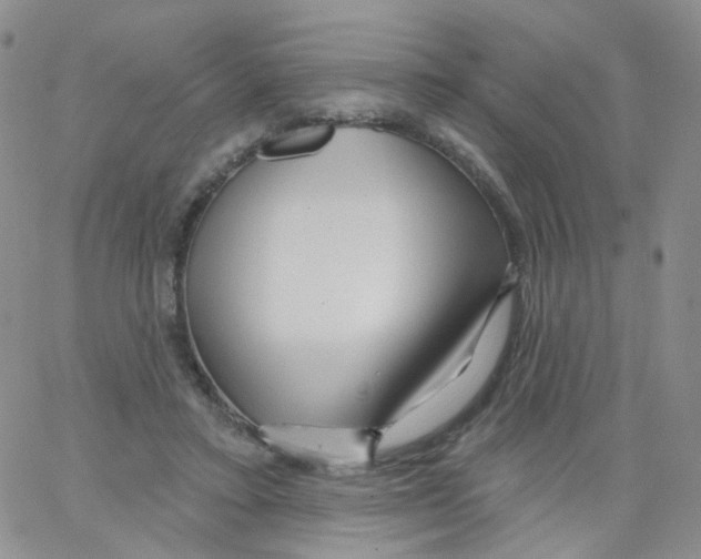 X0000062910403200602101837