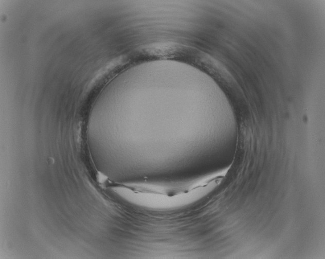 X0000062910404200602101837