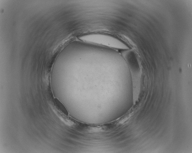 X0000062910405200602101837