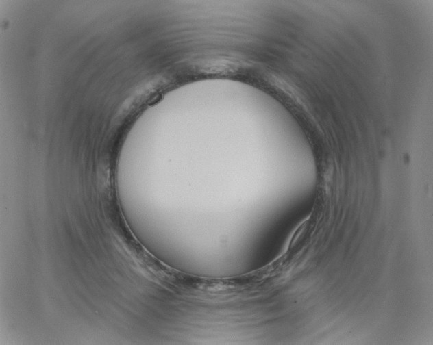 X0000062910407200602101837