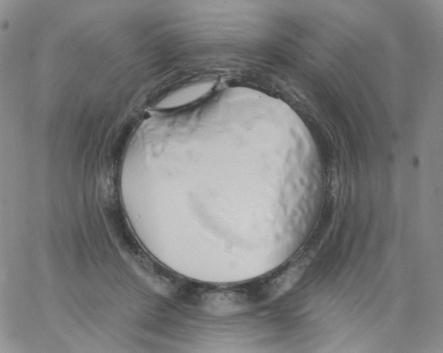 X0000062910408200602101837