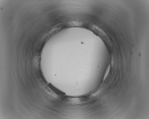 X0000062910409200602101837