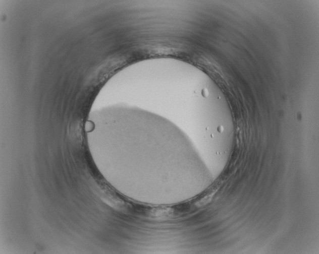 X0000062910410200602101837