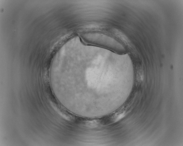 X0000062910411200602101837