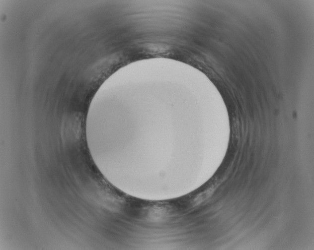 X0000062910412200602101837