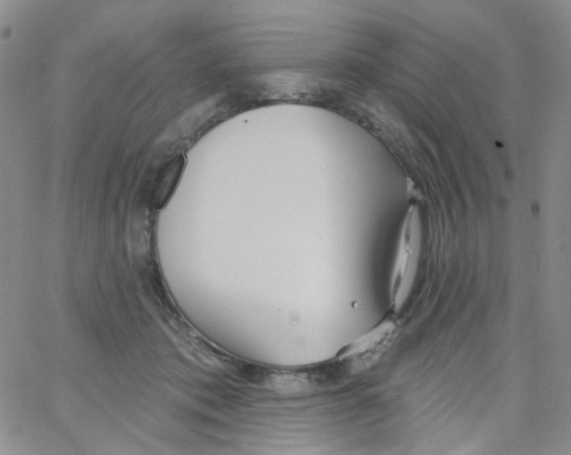 X0000062910413200602101837