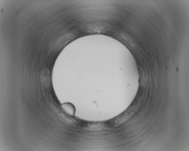 X0000062910414200602101837