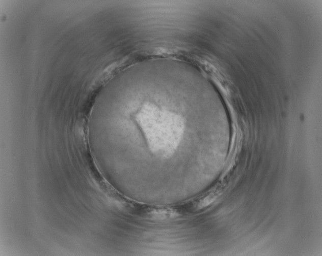 X0000062910415200602101837