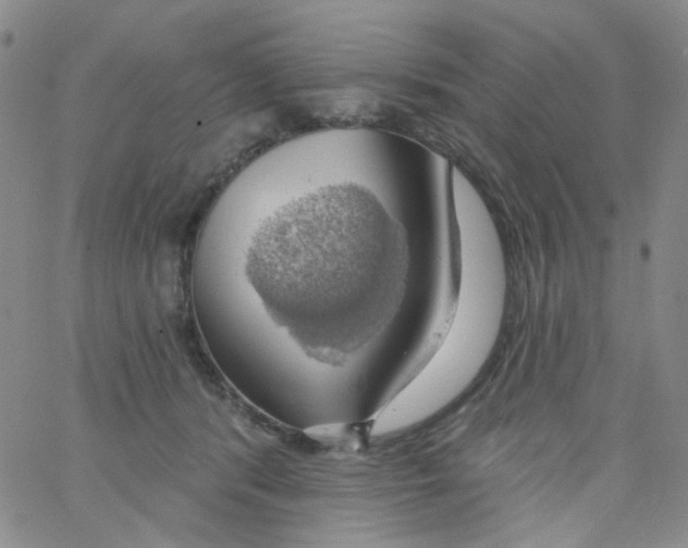 X0000062910416200602101837