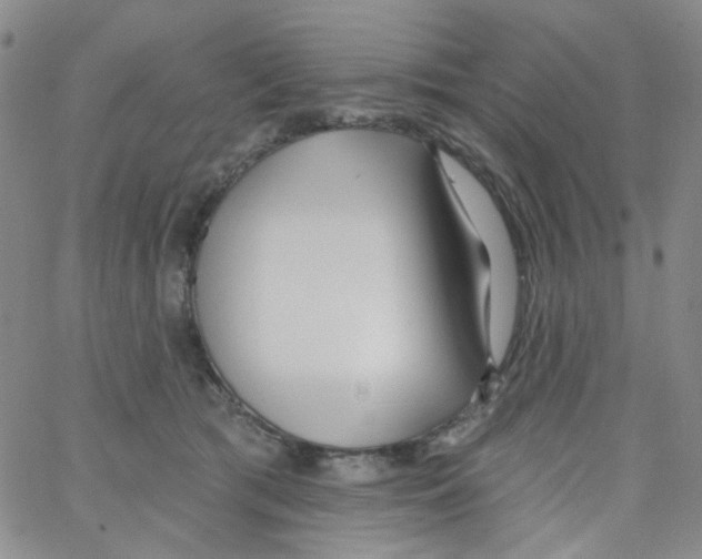 X0000062910417200602101837