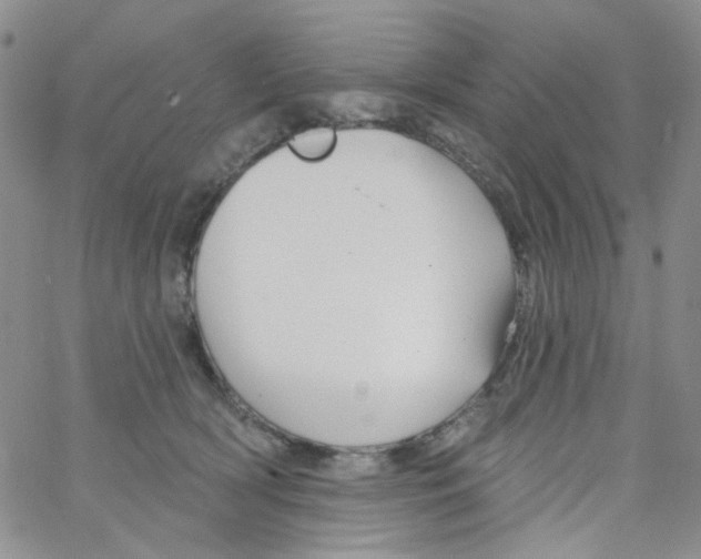 X0000062910418200602101837